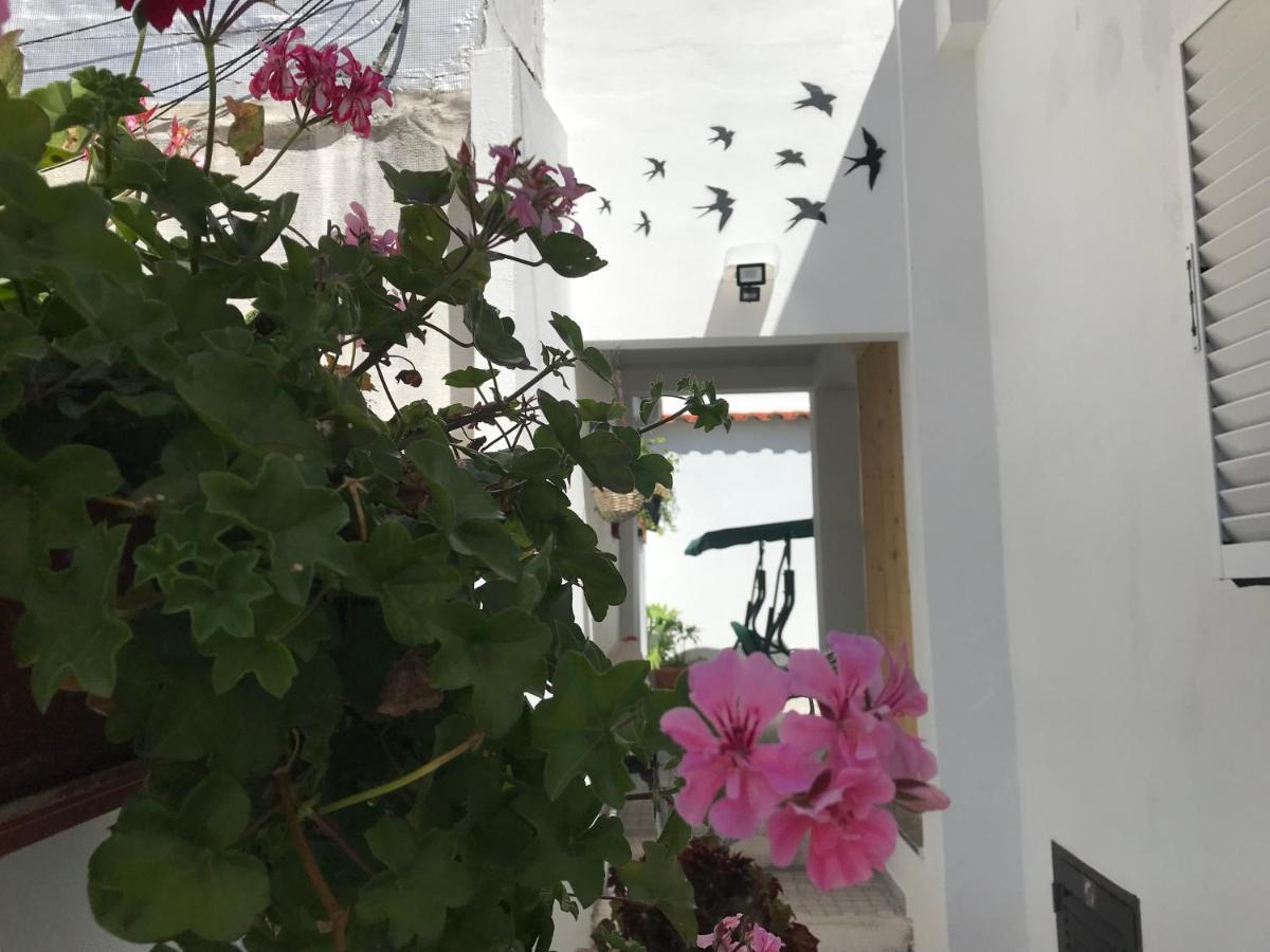 卡尔达斯达·赖尼亚Casa Dos Capinha别墅 外观 照片